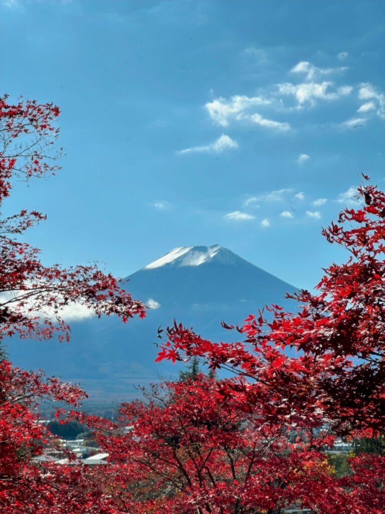 pexels-kevin-fabert-337109424-31130317